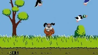 Duck Hunt screenshot