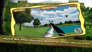 Duck Hunting 3D screenshot