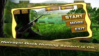 Duck Hunting 3D screenshot