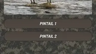 Duck Hunting Calls screenshot