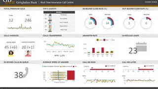Dundas Data Visualization screenshot