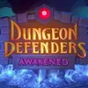 Dungeon Defenders: Awakened