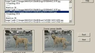 DupDetector screenshot