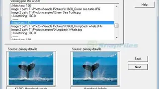 DupDetector screenshot