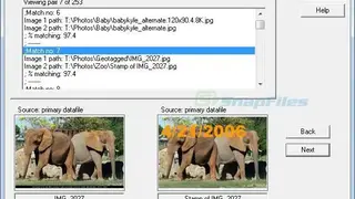 DupDetector screenshot