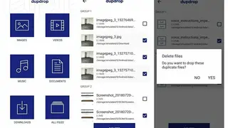Dupdrop screenshot