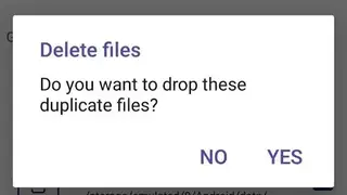 Dupdrop screenshot