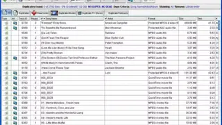 Dupe Eliminator for iTunes screenshot