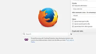 Duplicate Tabs Closer screenshot
