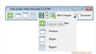 DVDVideoSoft Screen Recorder screenshot