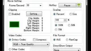 Dxtory screenshot