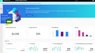 Dynamics 365 Customer Insights screenshot