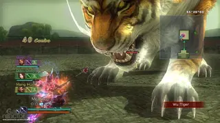 Dynasty Warriors: Strikeforce screenshot