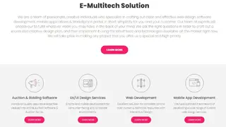 E-Multitech Auction screenshot