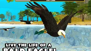 Eagle Simulator screenshot