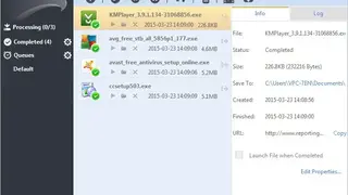EagleGet screenshot