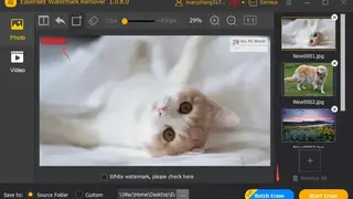 EasePaint Watermark Remover screenshot