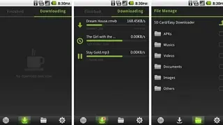 Easy Downloader Pro screenshot