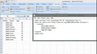 Easy XML Converter screenshot