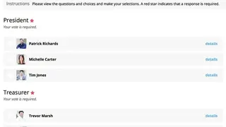 eBallot screenshot