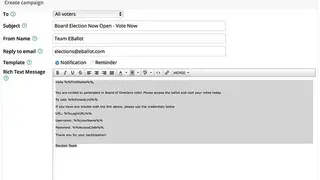 eBallot screenshot