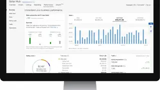 eBay Seller Hub screenshot