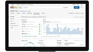 eBay Seller Hub screenshot