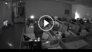 Ebitcam screenshot
