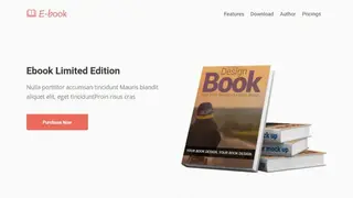 Ebook Launch screenshot