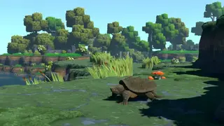 Eco screenshot