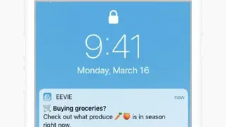 Eevie screenshot