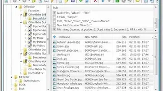 EF Multi File Renamer screenshot