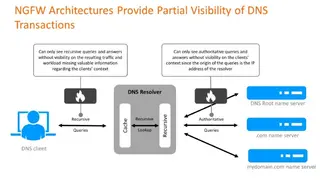 Efficient IP DNS Security screenshot