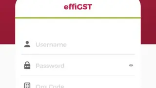 effiGST screenshot