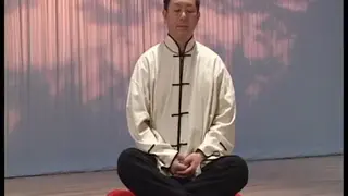 Eight Brocades Qigong Sitting screenshot