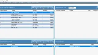 El Dorado Utility Billing screenshot