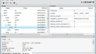Elecard Video Format Analyzer screenshot