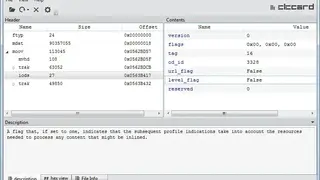 Elecard Video Format Analyzer screenshot