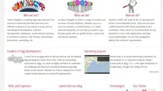 Elgg screenshot