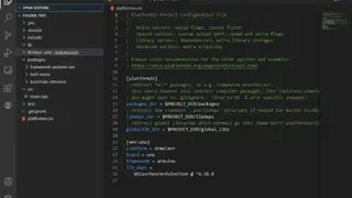 Embeetle IDE screenshot