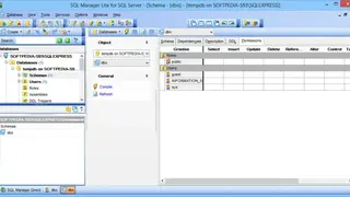 EMS SQL Manager screenshot