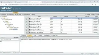 Encase eDiscovery screenshot