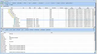 EnCase Forensic screenshot