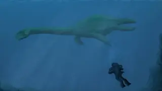 Endless Ocean: Blue World screenshot