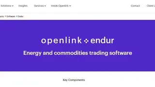 Endur screenshot