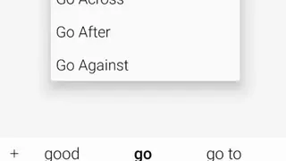 English Arabic Dictionary screenshot
