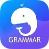 English Grammar – Learn, Practice & Test