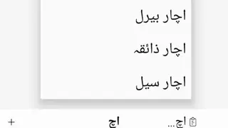 English Urdu Dictionary screenshot