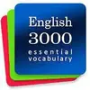 English Vocabulary Builder App. Essential Words