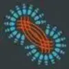Entangle